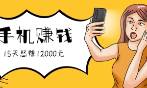 ֱĿ0żһֻܸɣ15ŭ׬12000Ԫ