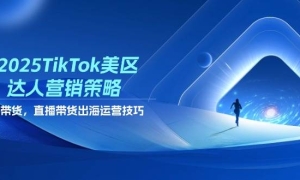 2025TikTokӪԣƵֱӪ