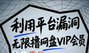 ƽ̨©ߣVIPԱûײЧ©ԭ+ʾ