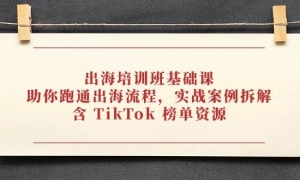 ѵΣ̣ͨʵս⣬ TikTok Դ