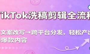 TikTokϴọ̈̄İдƽַ̨ɲݣ