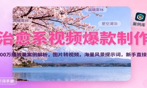 ϵƵ700򲥷ͼƬתƵ羰ʾʣ