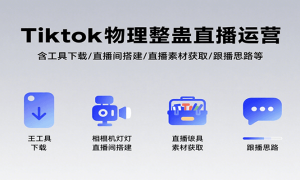 TiktokֱӪ/ֱ/ֱزĻȡ/˼·