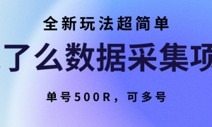 ôݲɼĿȫ淨򵥣500Rɶ