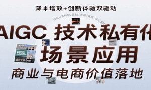 AIGC˽лӦãݴ/Ӿ/˽л/ҵӦ/Ӫ