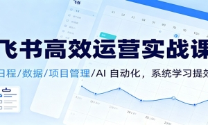 ЧӪʵսΣճ//Ŀ/AI ԶϵͳѧϰЧ