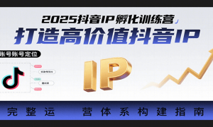 2025IPѵӪ߼ֵIPӪϵ