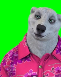 ʵʱֱͨͨ沿׽(̳)