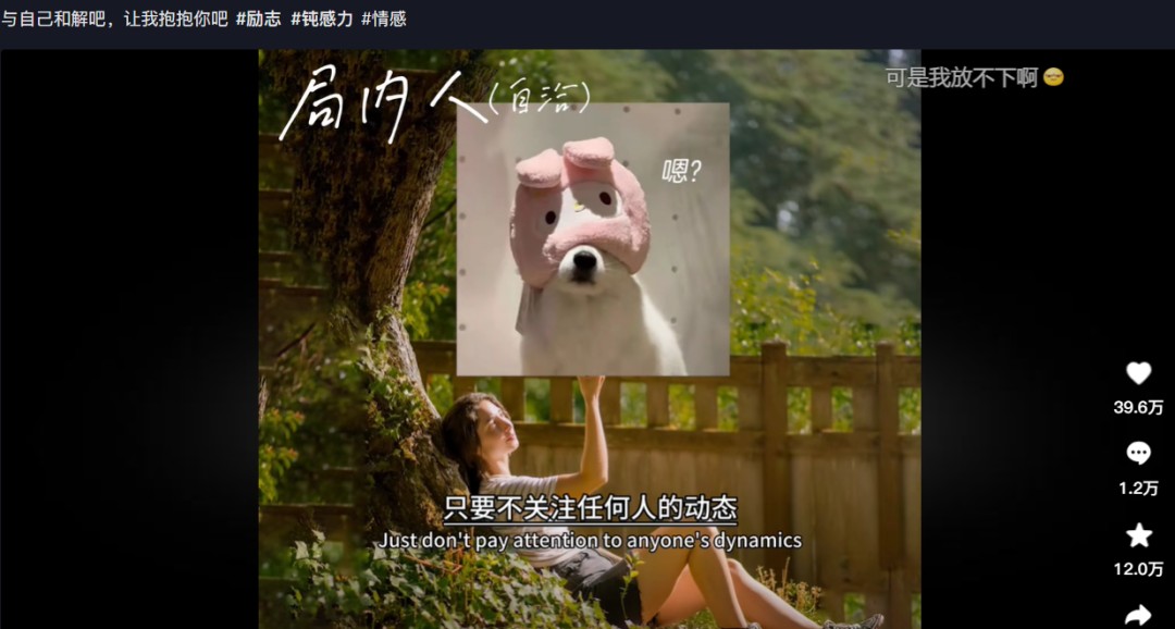 213606x970v987qkgkttzq.jpg