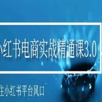 Сʵսͨ3.0ץסСƽ̨ķڣһ׬ǮĻ