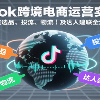 TikTok羳ӪʵսΣѡƷͶ˽ȫ