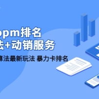 /opm/淨+񣬶ƷoPM㷨淨 