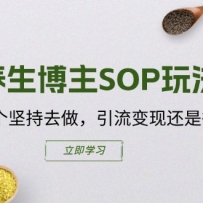 SOP淨ȥֻǺɵ