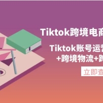 Tiktok羳֤ͨ2.0Tiktok˺Ӫ+羳֧+羳+羳ֱ
