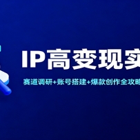 IP߱ʵսΣ+˺Ŵ+ȫԣ벼