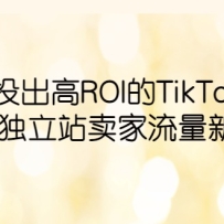 ͶROITikTok棬ضվ