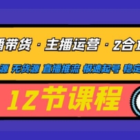 ֱӪ21ʵս лԴ ޻Դ ֱ  ȶ