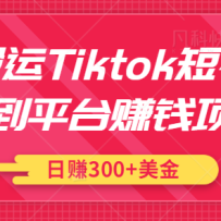 TiktokƵƽ̨׬ǮĿֿɲ׬300Ƶ̡̳