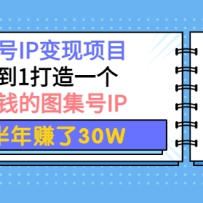 ͼIPĿ01һ׬ǮͼIP ׬30W