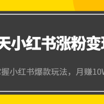 21СǷ۱Ӫ4ڣС鱬淨׬10W+