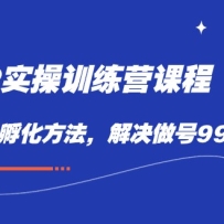IPʵսѵӪγ̣IP99%