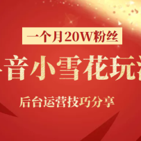 ССѩºһ20W˿淨̨Ӫɷ