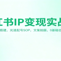 СIPʵսΣλSOPİ㣬0Ҳ׬Ǯ