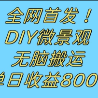 ȫ׷DIY΢ۣ԰Ƶ800+
