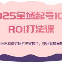 2025ȫ10ROI򷨿ΣGMVȶӪؼɣֱͶ