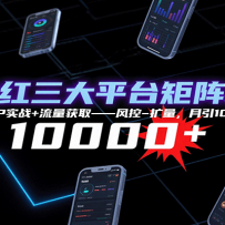 ƽ̨Ӫ12СʱSOPʵս+ȡ--10000+