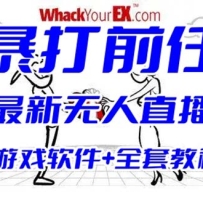ֱ淨ǰεĻﻥСϷ (Ϸ+̳)