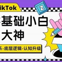 TikTokײ߼ƵӪϵпΣӪϵײ߼֪
