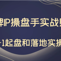 붮ӪƷIPʵս׬Ǯ0-1̺ʵ٣ֵ199Ԫ