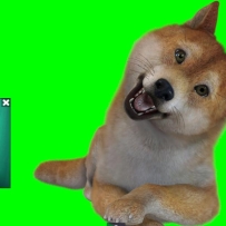 ʵʱֱͨͨ沿׽(̳)