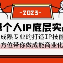 򱬡IPײʵսΣרҵĴIP ȫλҵIP