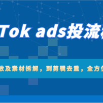 TikTok adsͶؼadsͶżزĲ⣬ȥأȫλڼ