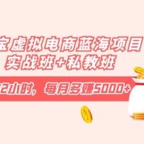 ԱĿʵսࣺÿ2Сʱÿ¶׬5000+