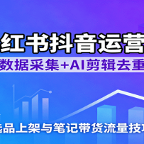 С鶶ӪΣݲɼ+AIȥأѡƷϼʼǴ