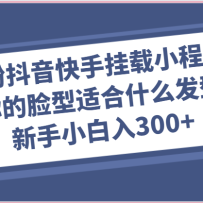 0۶ֹСʺʲô淨С300+