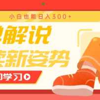 鵥˵淨ĶƣСҲ300+