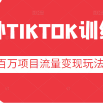 TIKTOKѵӪĿ涶tiktok淨