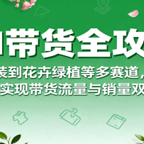 AIȫԣӷװֲȶAIʵִ˫