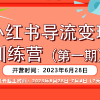 С鵼ӪһʵʵսŶܽᣬʵսȫϸڣ