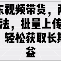 Ƶ淨ϴƵɻȡ