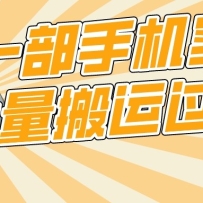 ׷һֻʵ˹ԭַŲ