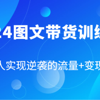 2024ͼĴѵӪͨʵϮ+루87ڿΣ
