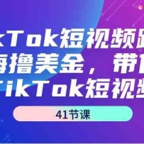 TikTokƵ羳ߣ𣬴TikTokƵ35ڿΣ
