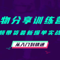 ѵӪƵ±ʵսģŵͨ