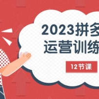 2023ƴӪѵӪײ߼+淨12ڿΣ