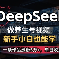 DeepSeek+AiƵ5һ300+